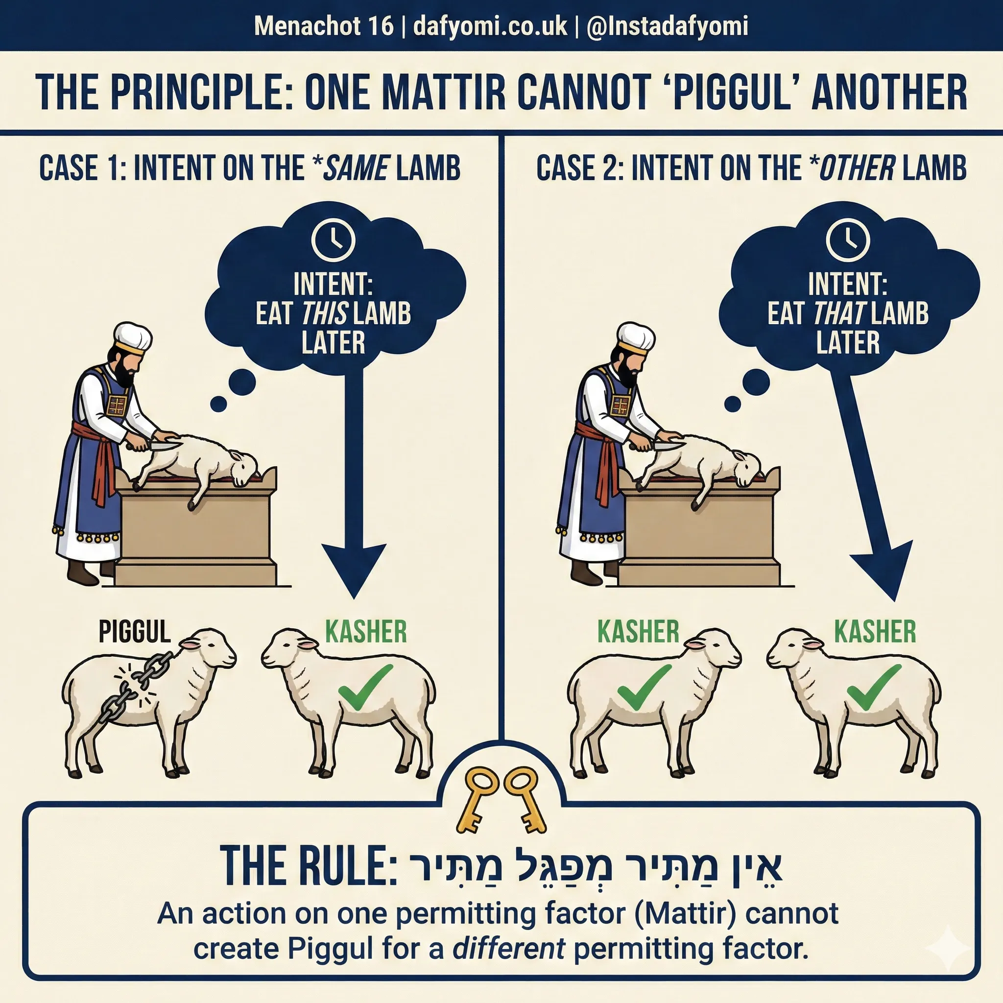 Infographic 5